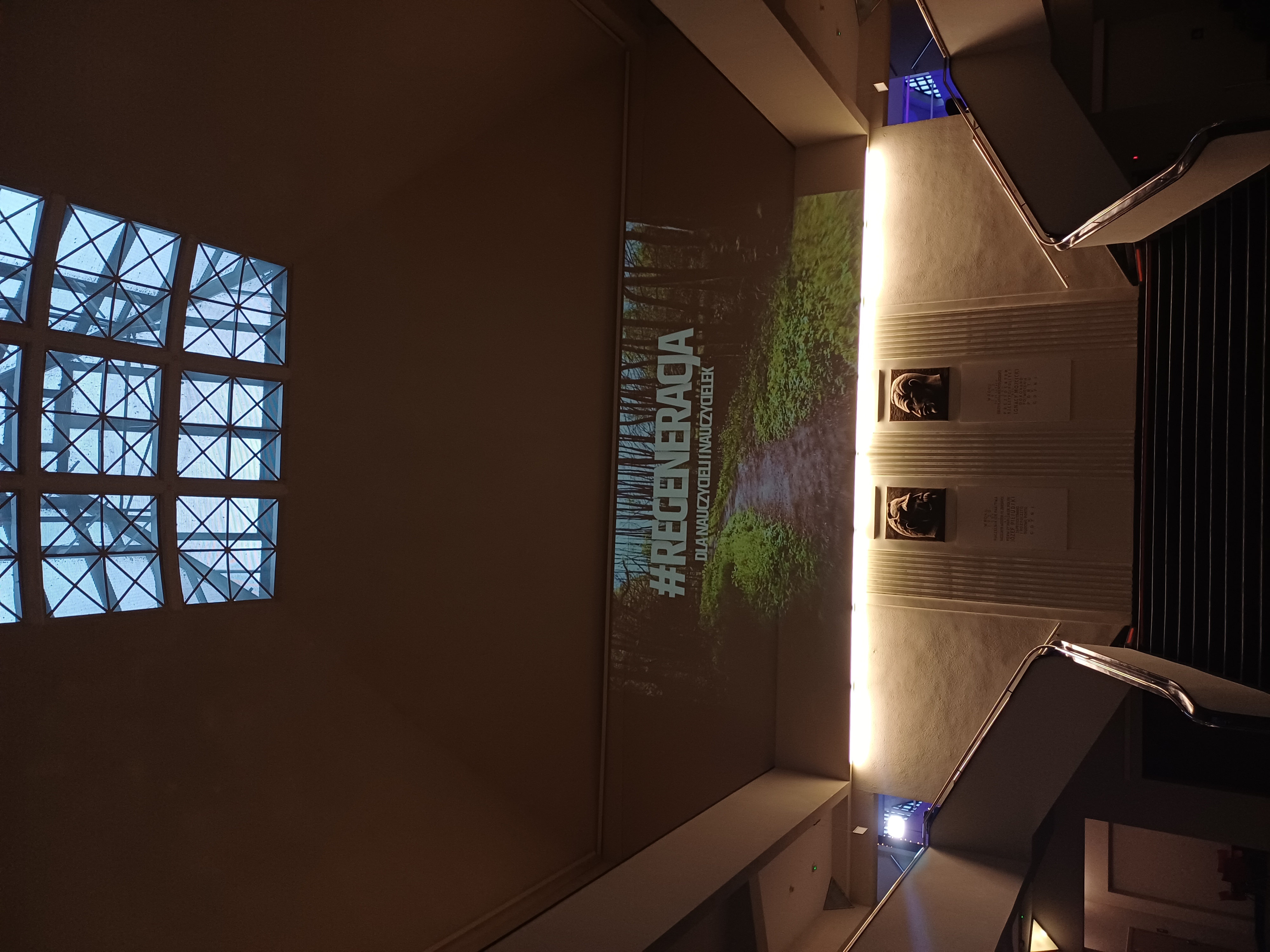 galleryPic